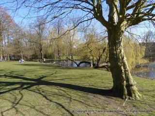 Atmospheric pictures  & Stills 