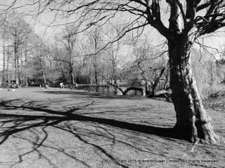 Atmospheric pictures  & Stills 