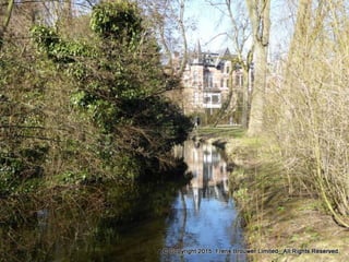 Atmospheric pictures  & Stills 