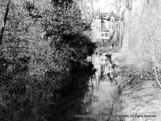 Atmospheric pictures  & Stills 