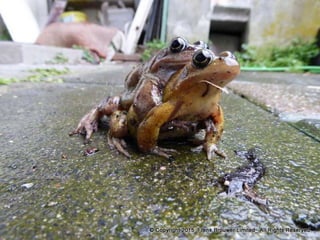 Atmospheric pictures  & Stills 