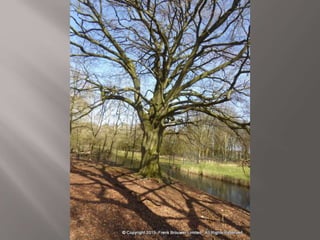 Atmospheric pictures  & Stills 