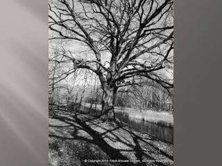 Atmospheric pictures  & Stills 