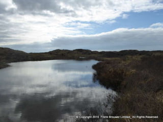 Atmospheric pictures  & Stills 