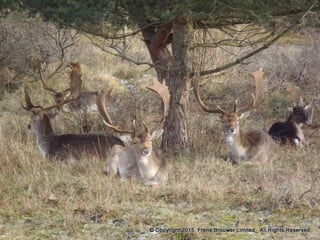 Atmospheric pictures  & Stills 