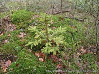 Atmospheric pictures  & Stills 