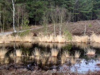 Atmospheric pictures  & Stills 