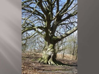 Atmospheric pictures  & Stills 