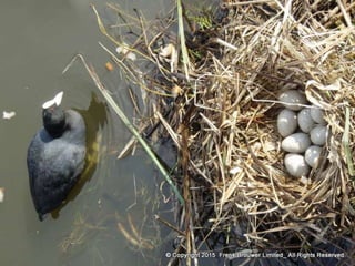 Atmospheric pictures  & Stills 