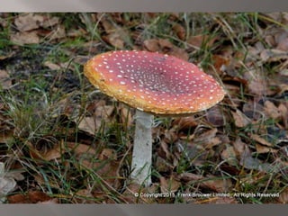 Atmospheric pictures  & Stills 