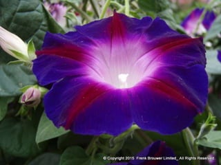 Atmospheric pictures  & Stills 