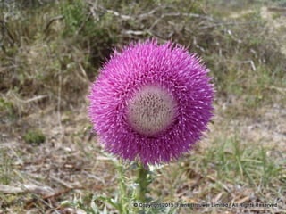 Atmospheric pictures  & Stills 