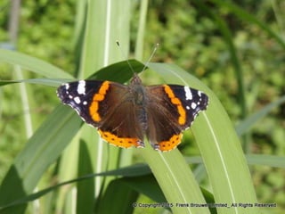 Atmospheric pictures  & Stills 