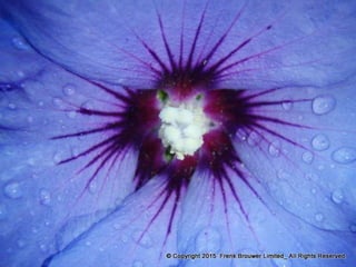 Atmospheric pictures  & Stills 