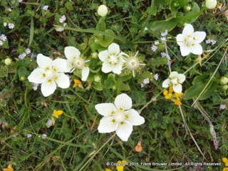 Atmospheric pictures  & Stills 