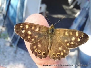 Atmospheric pictures  & Stills 