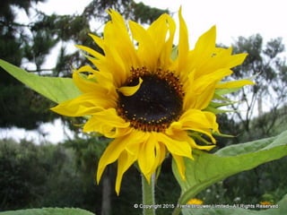 Atmospheric pictures  & Stills 