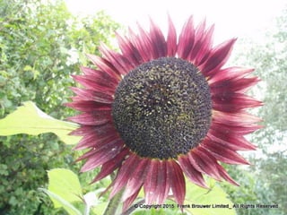 Atmospheric pictures  & Stills 