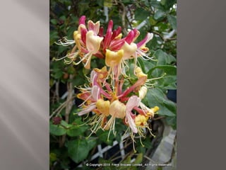 Atmospheric pictures  & Stills 