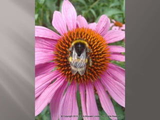 Atmospheric pictures  & Stills 