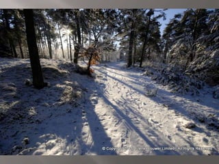 Atmospheric pictures  & Stills 