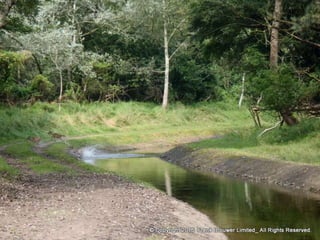 Atmospheric pictures  & Stills 