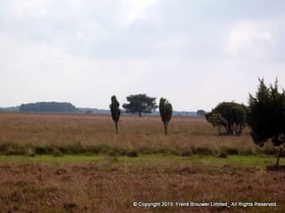 Atmospheric pictures  & Stills 