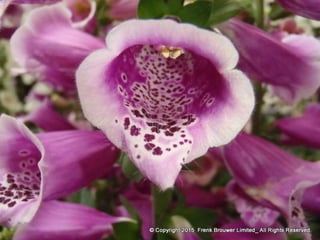 Atmospheric pictures  & Stills 