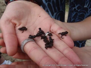 Atmospheric pictures  & Stills 