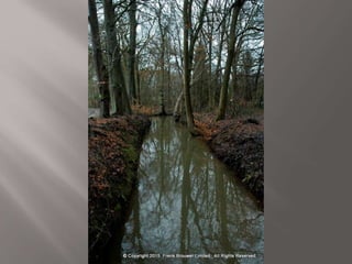 Atmospheric pictures  & Stills 