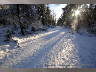 Atmospheric pictures  & Stills 