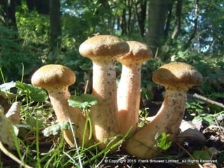 Atmospheric pictures  & Stills 