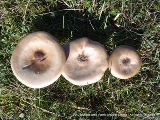 Atmospheric pictures  & Stills 