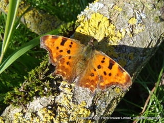 Atmospheric pictures  & Stills 