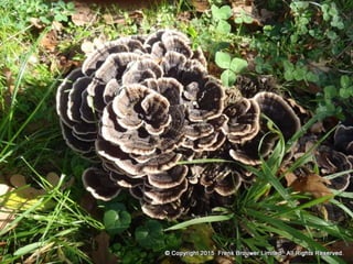 Atmospheric pictures  & Stills 