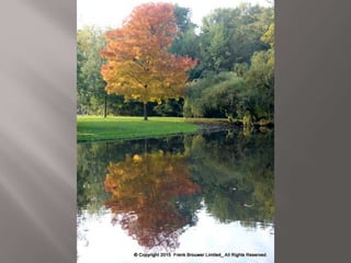 Atmospheric pictures  & Stills 