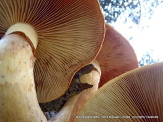 Atmospheric pictures  & Stills 