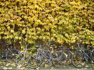 Atmospheric pictures  & Stills 