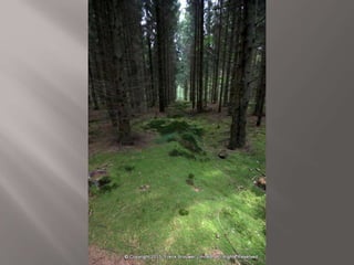 Atmospheric pictures  & Stills 