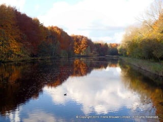 Atmospheric pictures  & Stills 