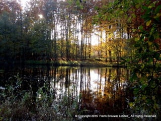 Atmospheric pictures  & Stills 