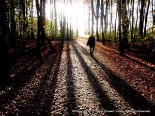 Atmospheric pictures  & Stills 