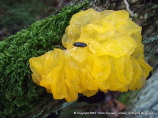 Atmospheric pictures  & Stills 