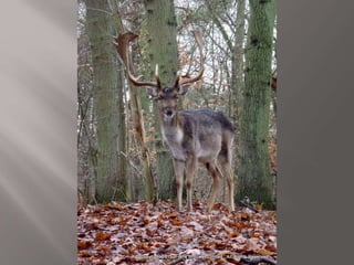 Atmospheric pictures  & Stills 