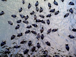 Atmospheric pictures  & Stills 