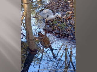 Atmospheric pictures  & Stills 