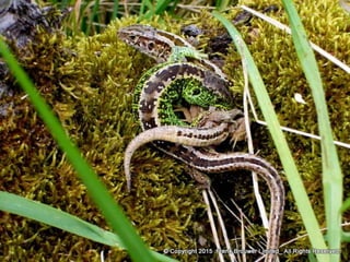 Atmospheric pictures  & Stills 