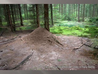 Atmospheric pictures  & Stills 