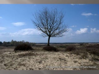 Atmospheric pictures  & Stills 