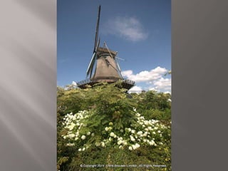 Atmospheric pictures  & Stills 